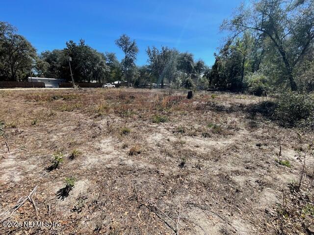 0 Sioux Avenue Interlachen, FL 32148 - Photo 4 of 8 a view of road with trees in the background