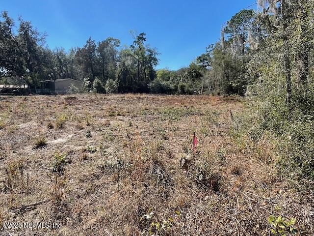 0 Sioux Avenue Interlachen, FL 32148 - Photo 5 of 8 a view of a yard with trees