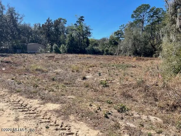 a view of a dry yard with trees