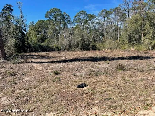 a view of a yard with trees in the background
