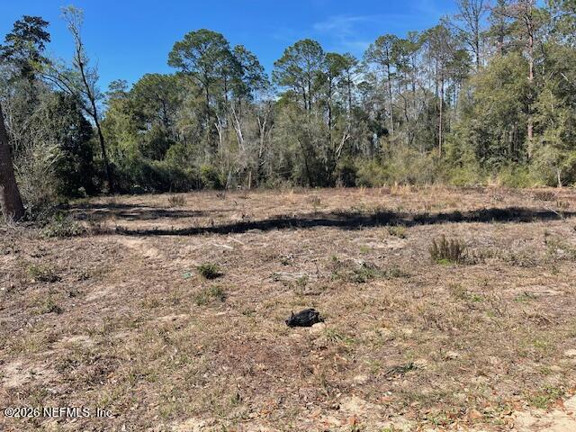 0 Sioux Avenue Interlachen, FL 32148 - Photo 8 of 8 a view of a yard with trees in the background