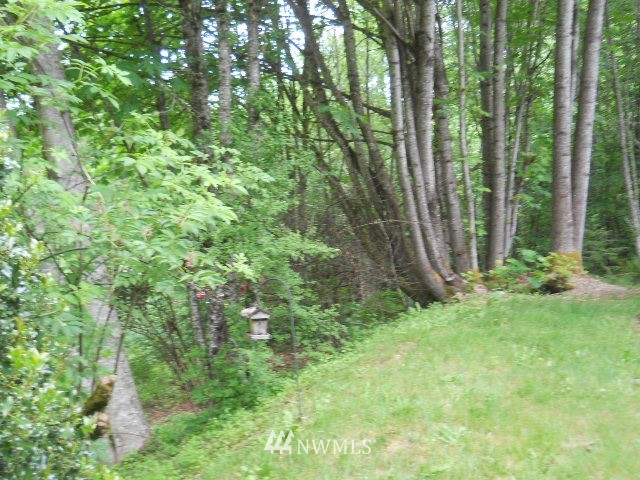 13481 Forsman Road Southeast Olalla, WA 98359 - Photo 19 of 20 Gallery Image 19