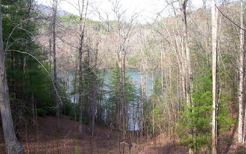 Lot45 Lot45 Fly Fish Road Murphy, NC 28906 - Photo 1 of 1 a view of forest