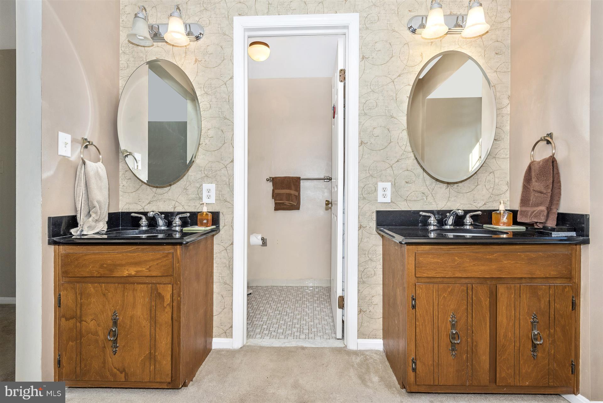 3931 Harrisville Road Mount Airy, MD 21771 - Photo 20 of 28 Master bath has double vanities