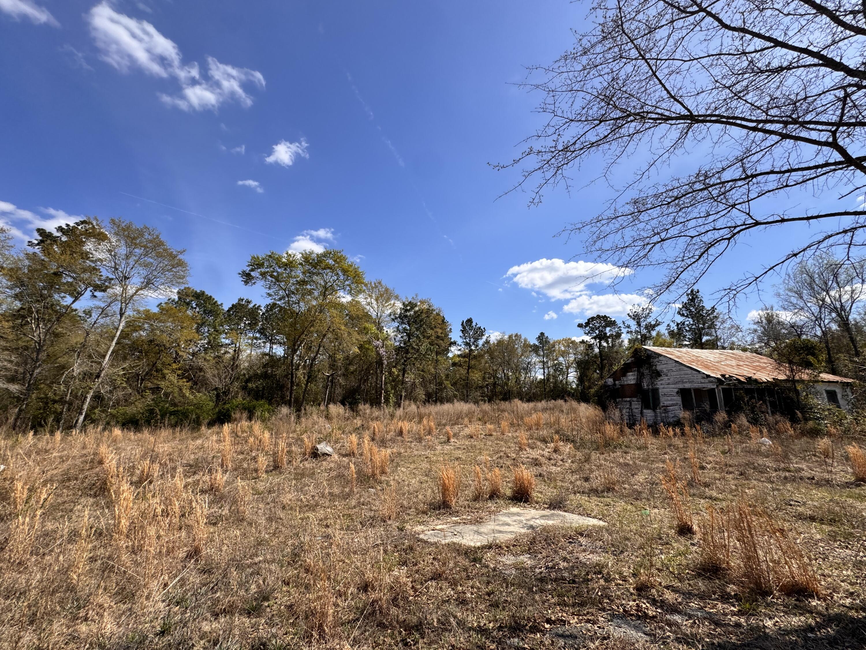 3.13-acres Skyland Farm Road Williston, SC 29853 - Photo 1 of 5