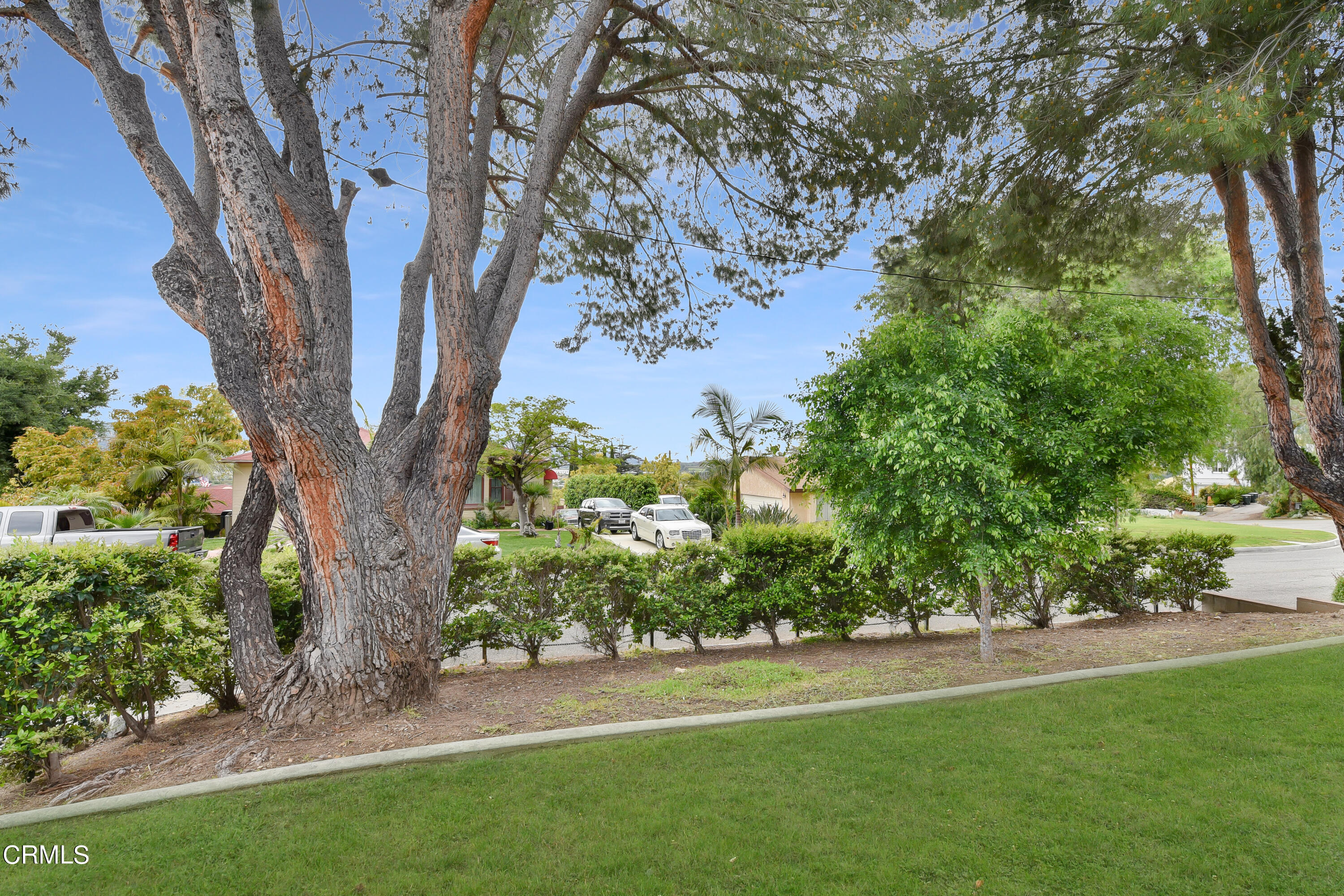 296 Foothill Drive Fillmore, CA 93015 - Photo 4 of 17 a view of a trees with a yard
