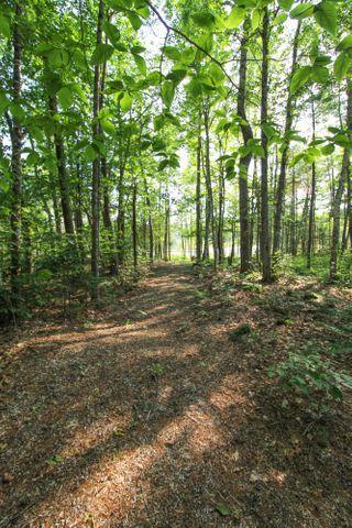 318 Birches Road Belfast, ME 04915 - Photo 59 of 62 MLS59