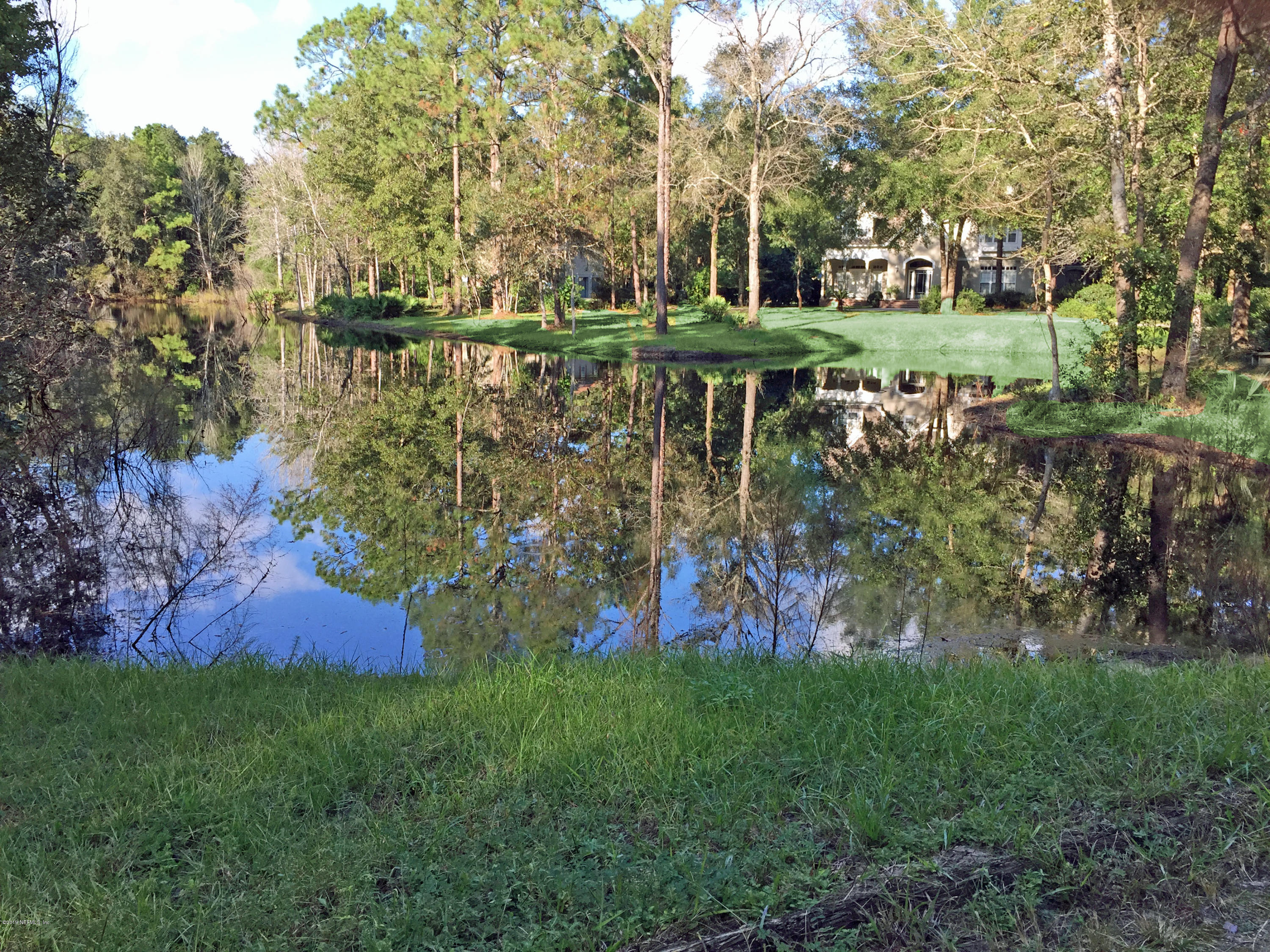 1435 Scott Road St. Johns, FL 32259 - Photo 56 of 65 a view of a yard with a large trees