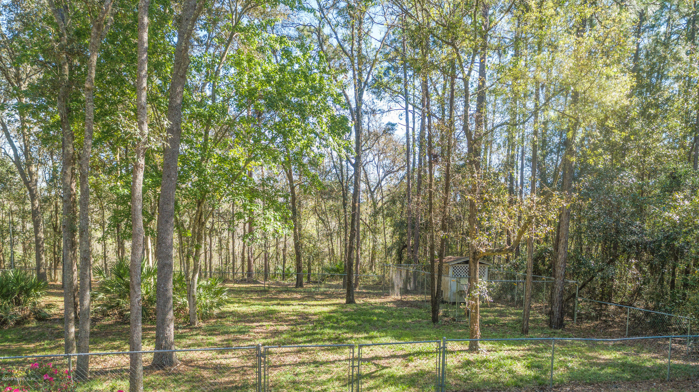 1435 Scott Road St. Johns, FL 32259 - Photo 58 of 65 a large body of water with a tree in the background