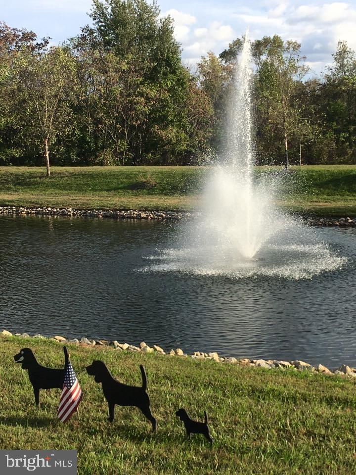 Best View in the community from home's backyard