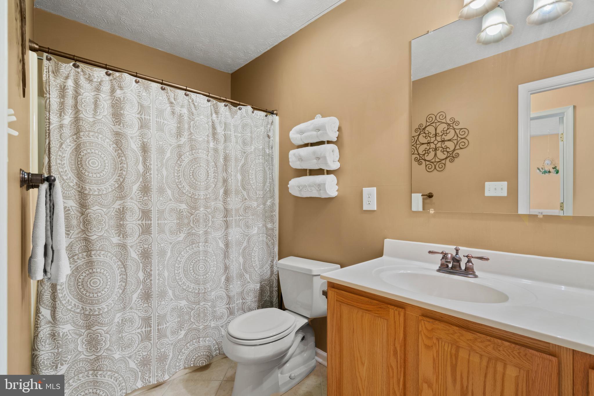 21894 Blue Ridge Mountain Road Paris, VA 20130 - Photo 26 of 39 2nd Full Bathroom