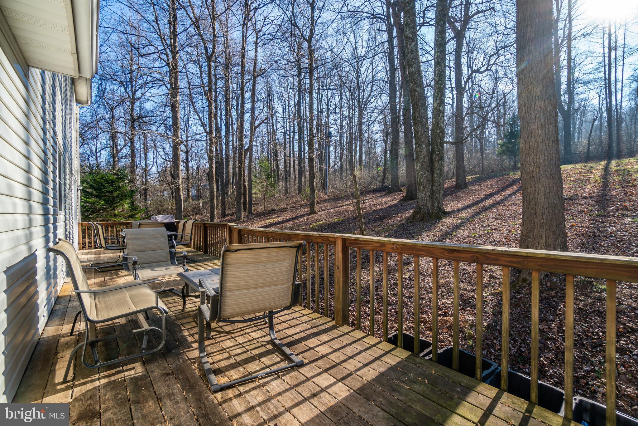 21894 Blue Ridge Mountain Road Paris, VA 20130 - Photo 35 of 39 Gallery Image 35