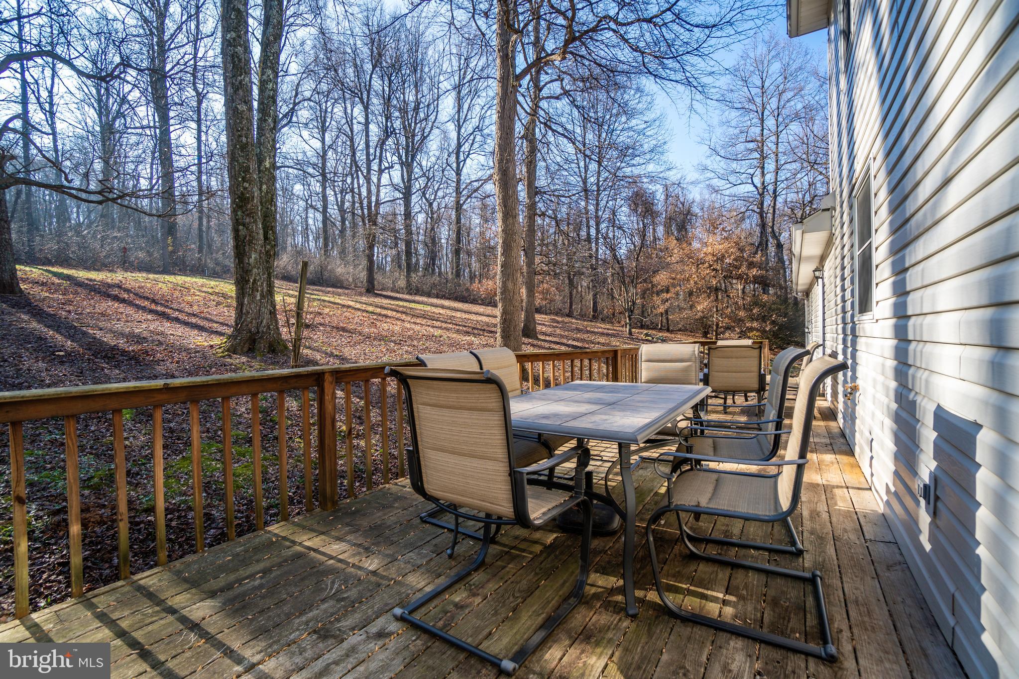 21894 Blue Ridge Mountain Road Paris, VA 20130 - Photo 36 of 39 Gallery Image 36