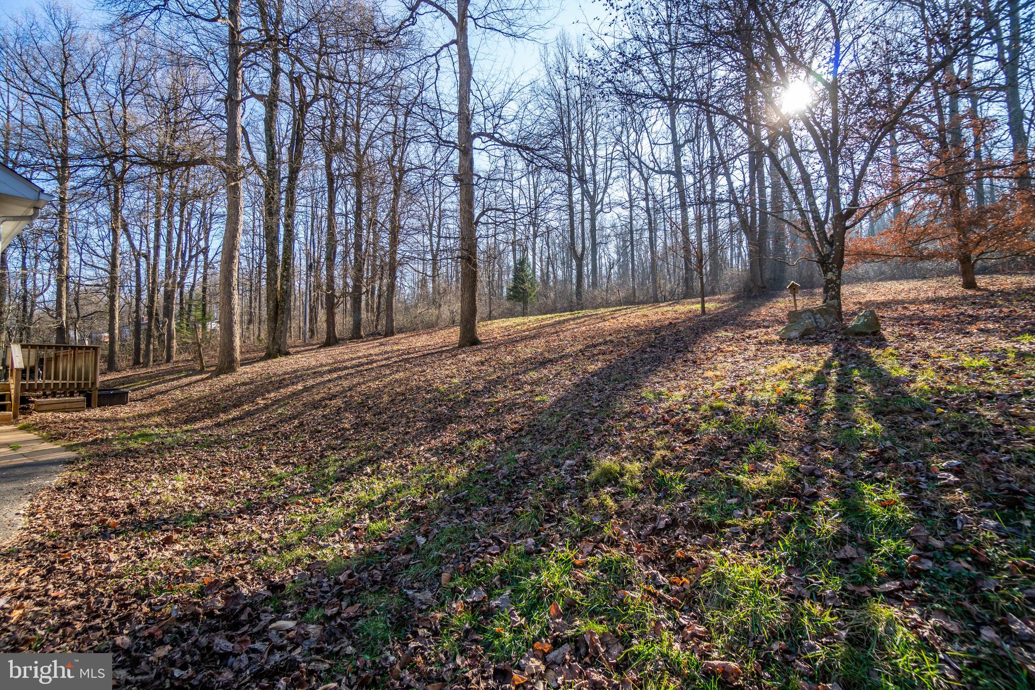 21894 Blue Ridge Mountain Road Paris, VA 20130 - Photo 38 of 39 Gallery Image 38