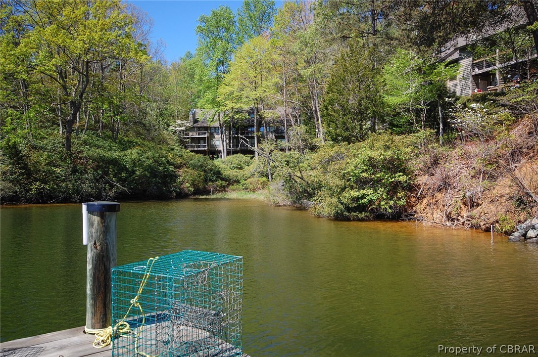 54 D Villa Ridge Drive, Unit D Hartfield, VA 23071 - Photo 25 of 34 GREAT VIEW OF CONDO FROM DOCKAGE