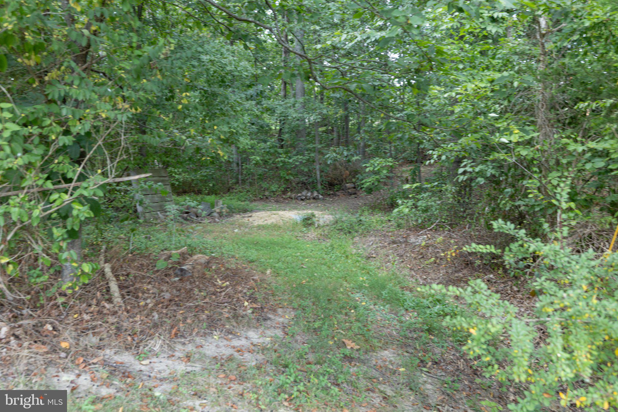 127 Mountain View Road Winchester, VA 22603 - Photo 57 of 58 Gallery Image 57
