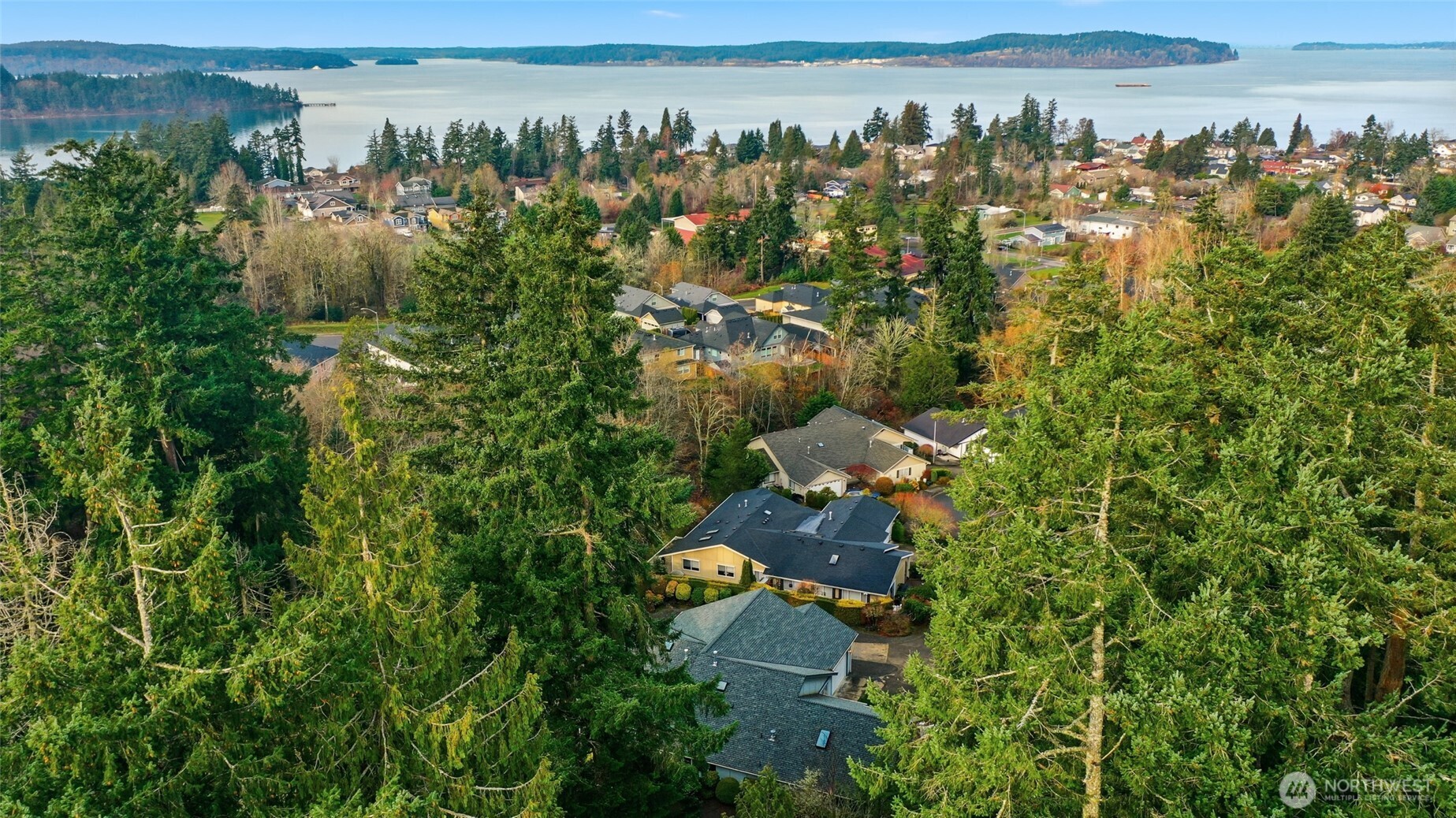 1083 5th Street Steilacoom, WA 98388 - Photo 37 of 39 a view of a city