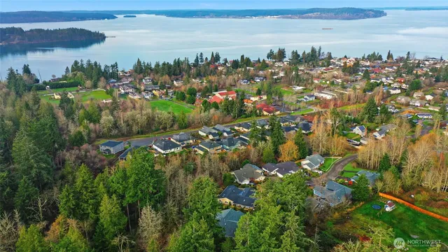 a view of a lake with a city