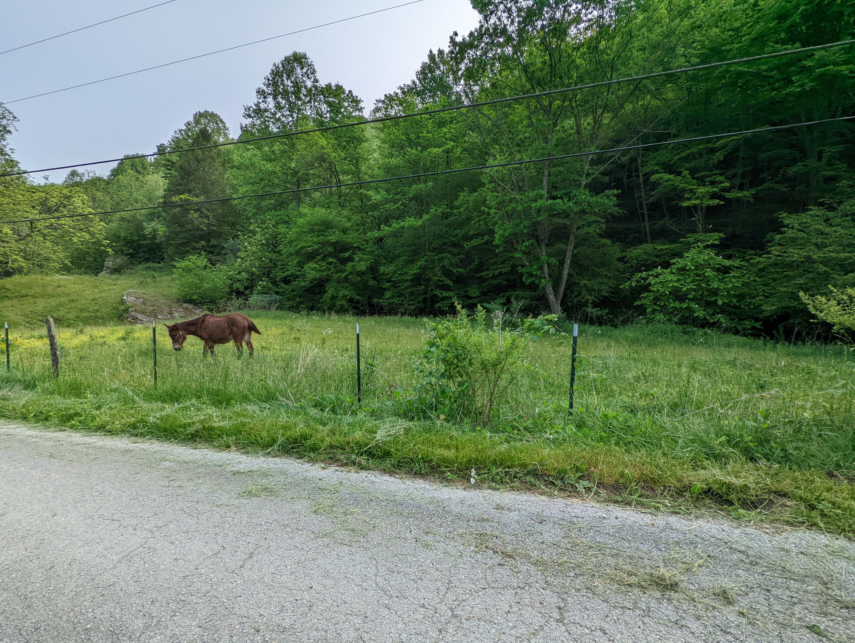 1683 Buckeye Branch Road Flat Lick, KY 40935 - Photo 4 of 6 4