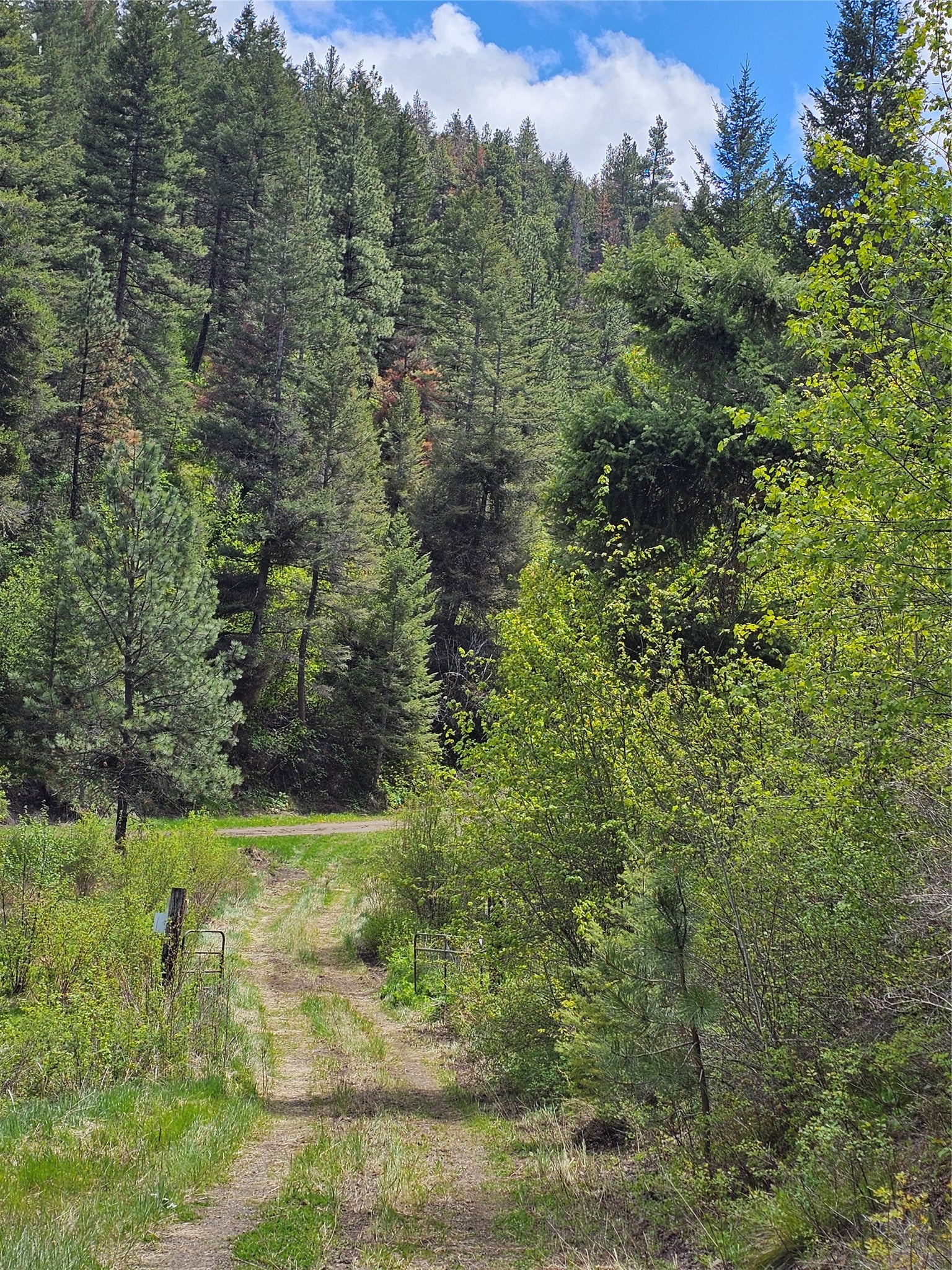 18866 Copper Rdg Trail Florence, MT 59833 - Photo 79 of 139 Gallery Image 79