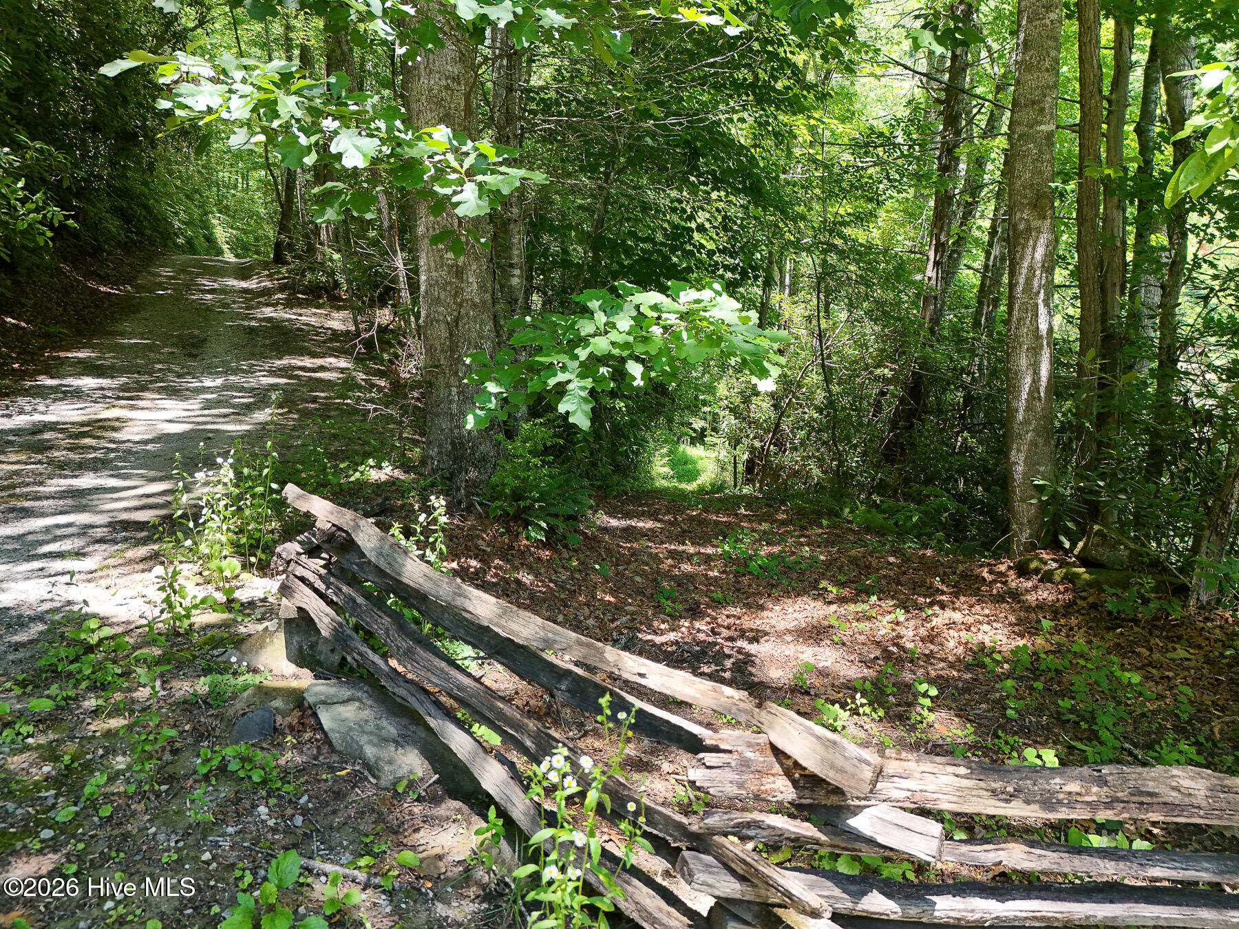 0 Old Lodge Road Topton, NC 28781 - Photo 12 of 18