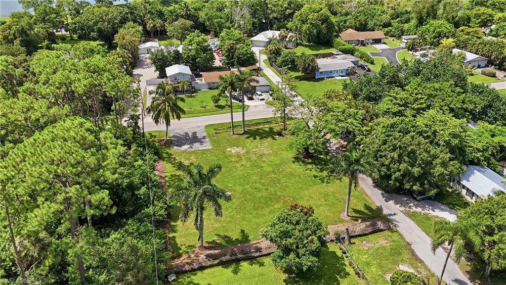 3417 Guilford Road Naples, FL 34112 - Photo 14 of 18 Expansive green space with mature palm trees and surrounding lush foliage