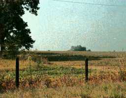 Vigo Road, Unit TRACT5 Bagdad, KY 40003 - Photo 1 of 1 Primary Photo