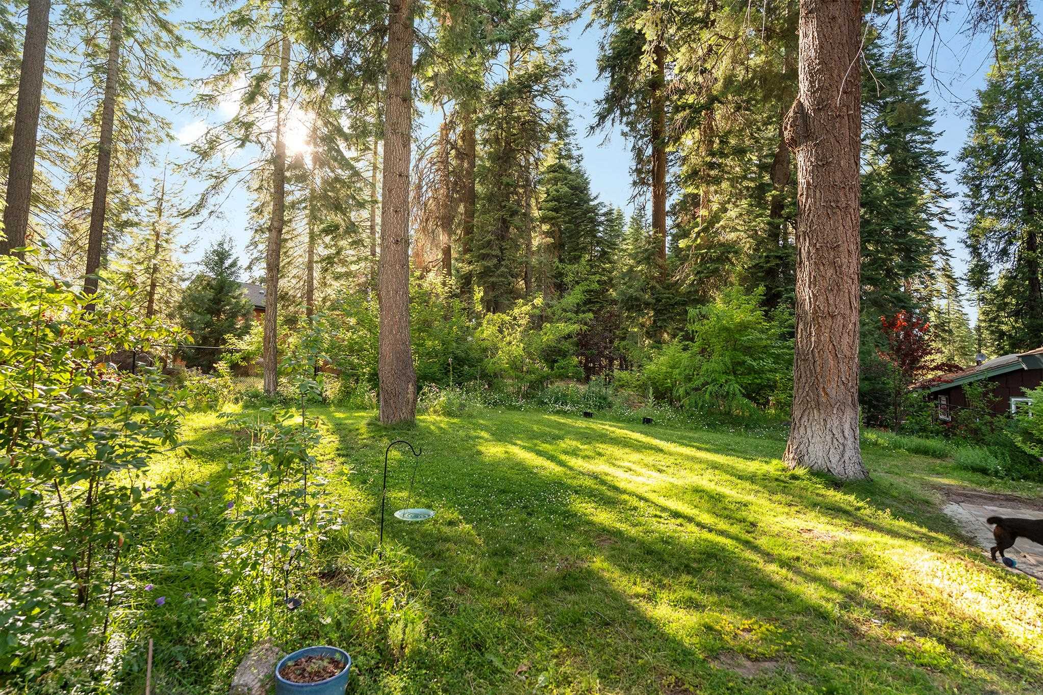 1223 White Fir Road Lake Almanor, CA 96137 - Photo 41 of 50
