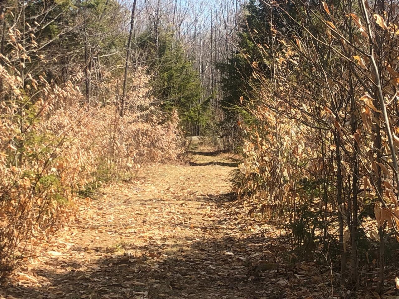 73 Parlin Road, Unit 3 Anson, ME 04911 - Photo 2 of 9 ADAMSLAND2.4