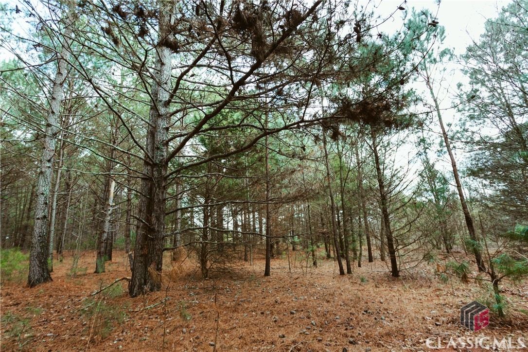 Tract1 Mayne Mill Road Watkinsville, GA 30677 - Photo 7 of 14 Gallery Image 7