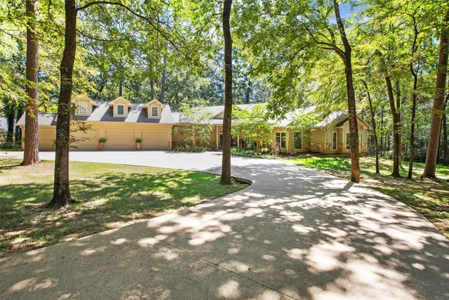 a view of a street with a tree