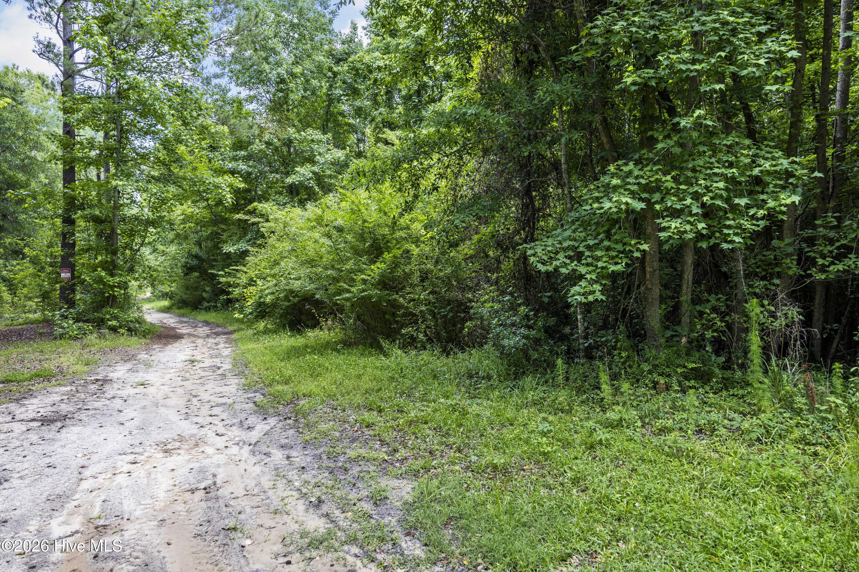 0 Near 4760 Delco Pros Road Delco, NC 28436 - Photo 7 of 9