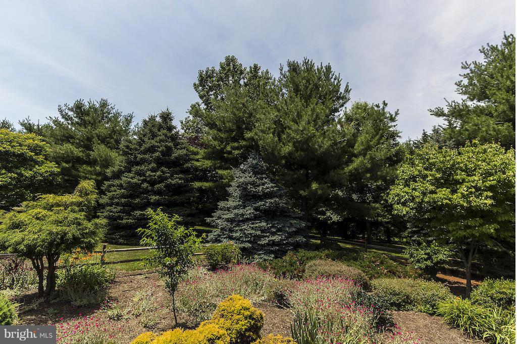 17600 Hardy Road Mount Airy, MD 21771 - Photo 29 of 30 Significant Exterior (Rear) Lush landscaping