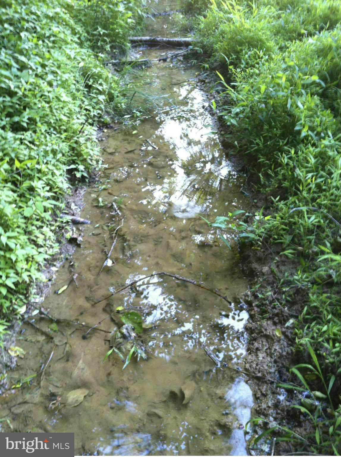 17600 Hardy Road Mount Airy, MD 21771 - Photo 30 of 30 View of Running Stream through rear of property