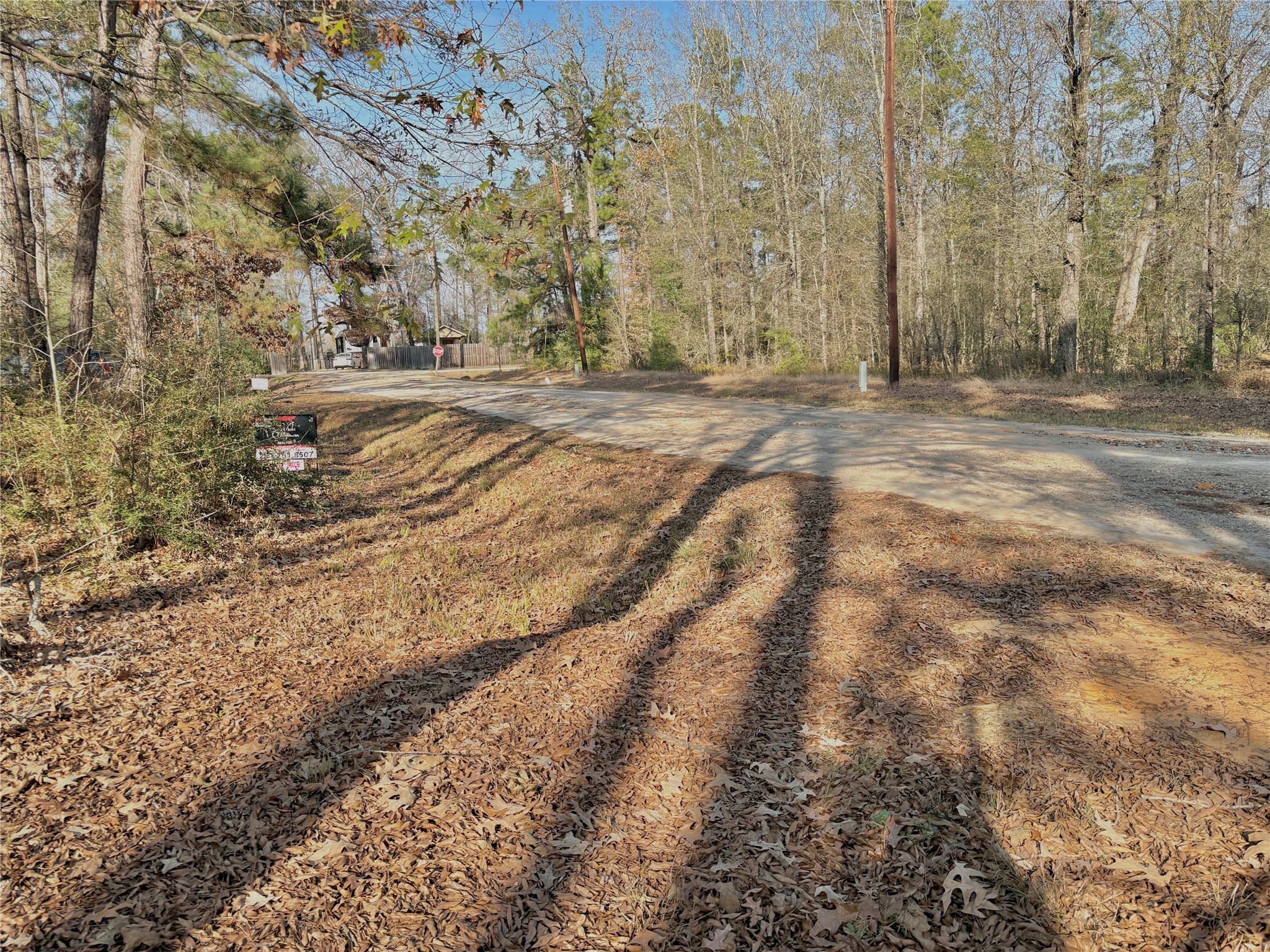 295 Lakecrest Livingston, TX 77351 - Photo 7 of 12 a view of dirt field with trees