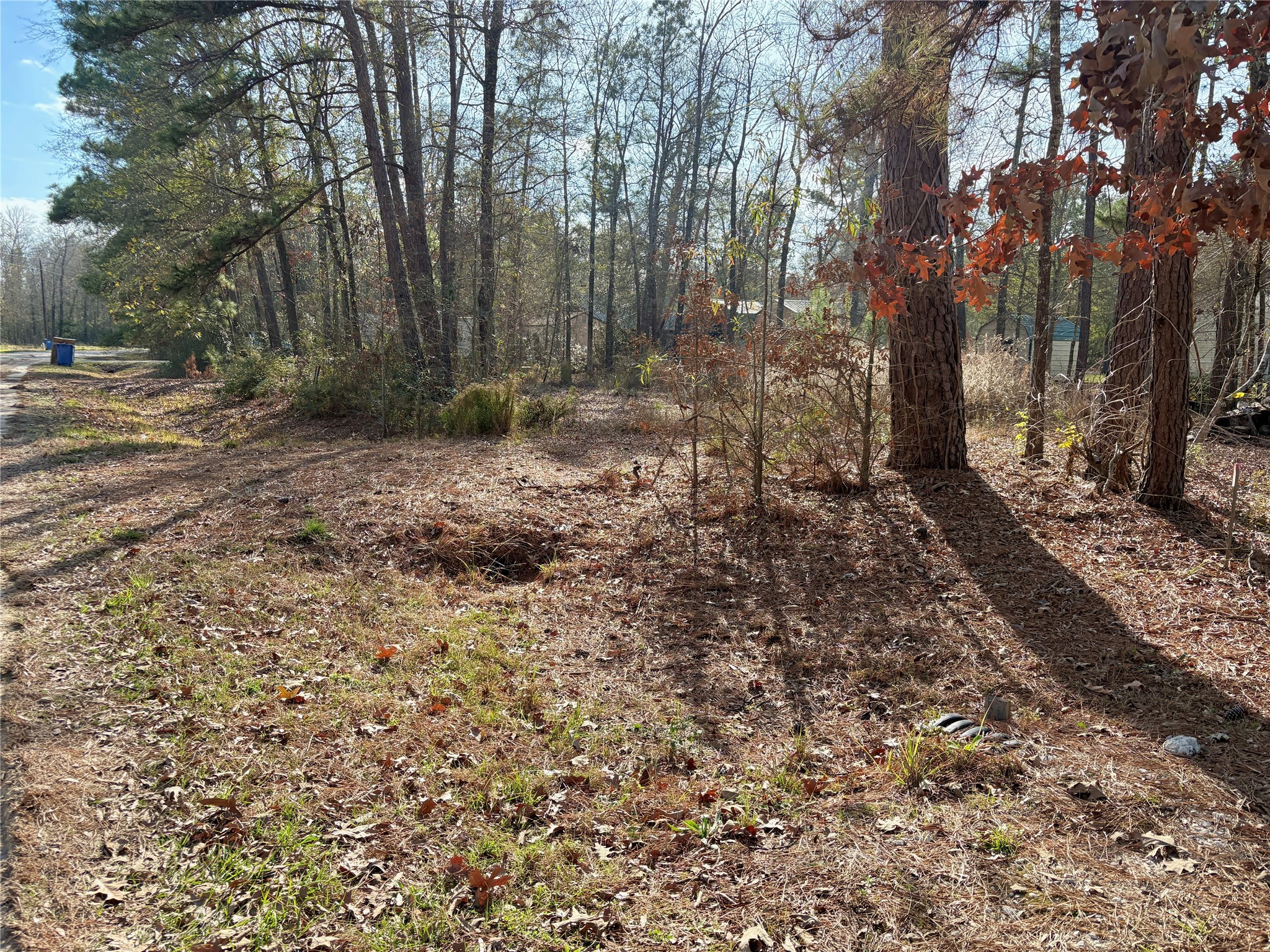 295 Lakecrest Livingston, TX 77351 - Photo 8 of 12 a view of a yard with trees