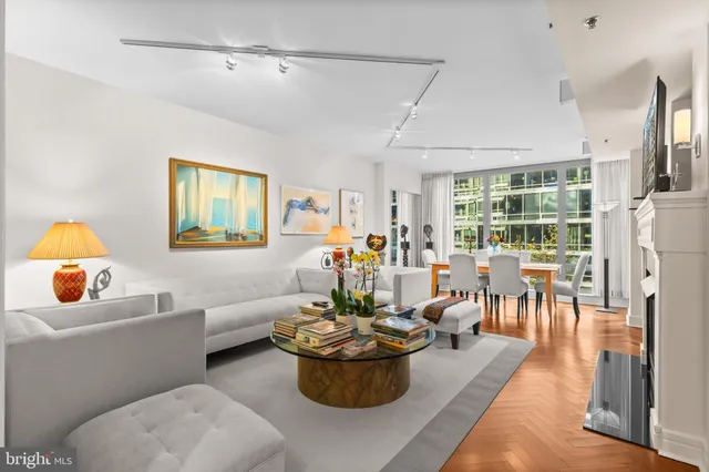 a living room with furniture and a potted plant