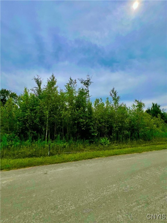 Lot 5 Forest Ridge Drive Rome, NY 13440 - Photo 2 of 6 Lot 5