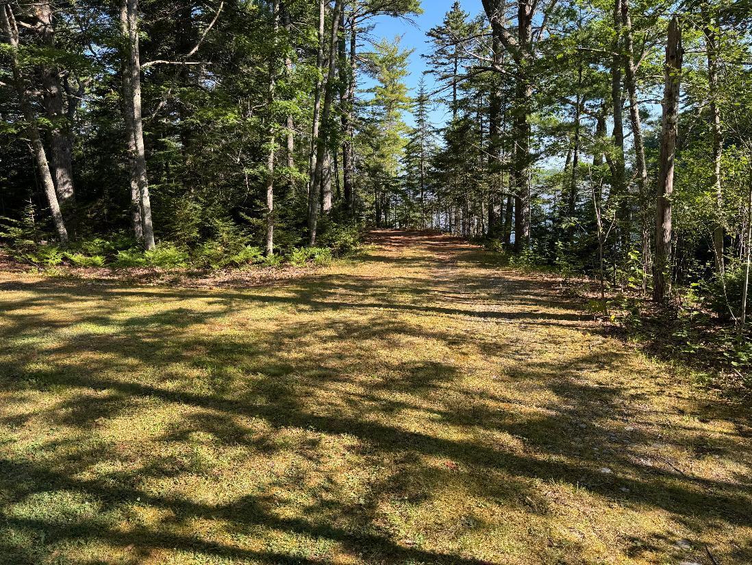 0 Pine Tree Lane Boothbay, ME 04537 - Photo 8 of 8 Gosselin photo 5