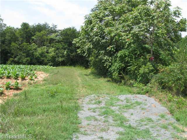0 Bobcat Road Summerfield, NC 27358 - Photo 2 of 4 Land.