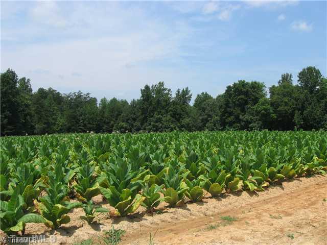 0 Bobcat Road Summerfield, NC 27358 - Photo 3 of 4 Land/Lot.