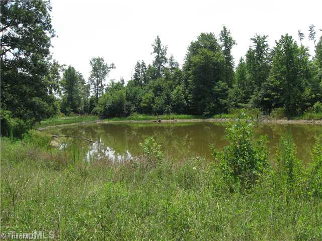0 Bobcat Road Summerfield, NC 27358 - Photo 4 of 4 Land/Lot.