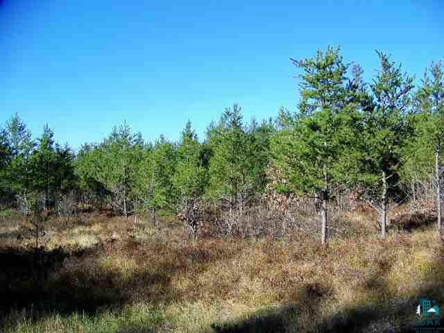 Par 2 Sand Lake Road Solon Springs, WI 54873 - Photo 3 of 3
