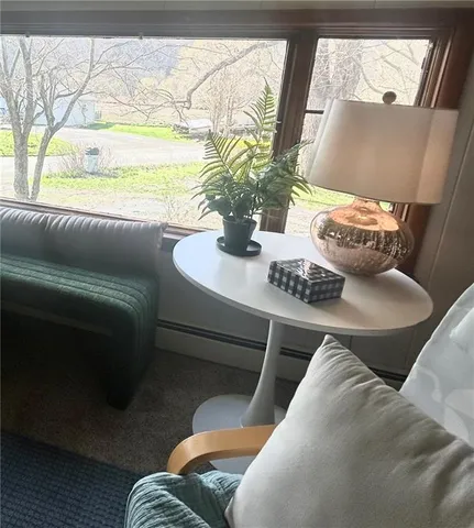 a view of a living room with furniture and a potted plant