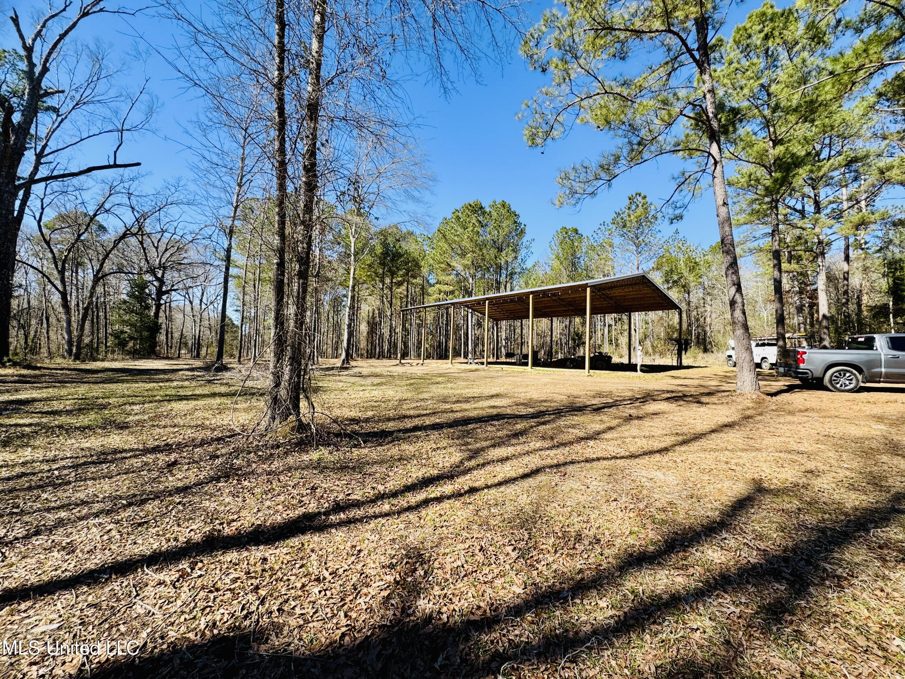 104 Mamie Mangum Road Florence, MS 39073 - Photo 11 of 11 IMG_8493