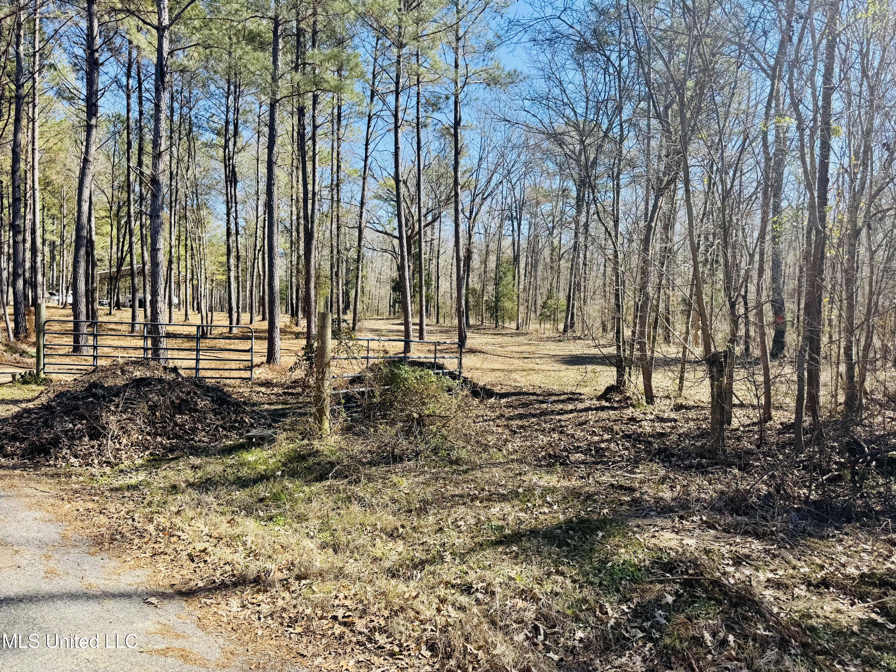 104 Mamie Mangum Road Florence, MS 39073 - Photo 2 of 11 FullSizeRender