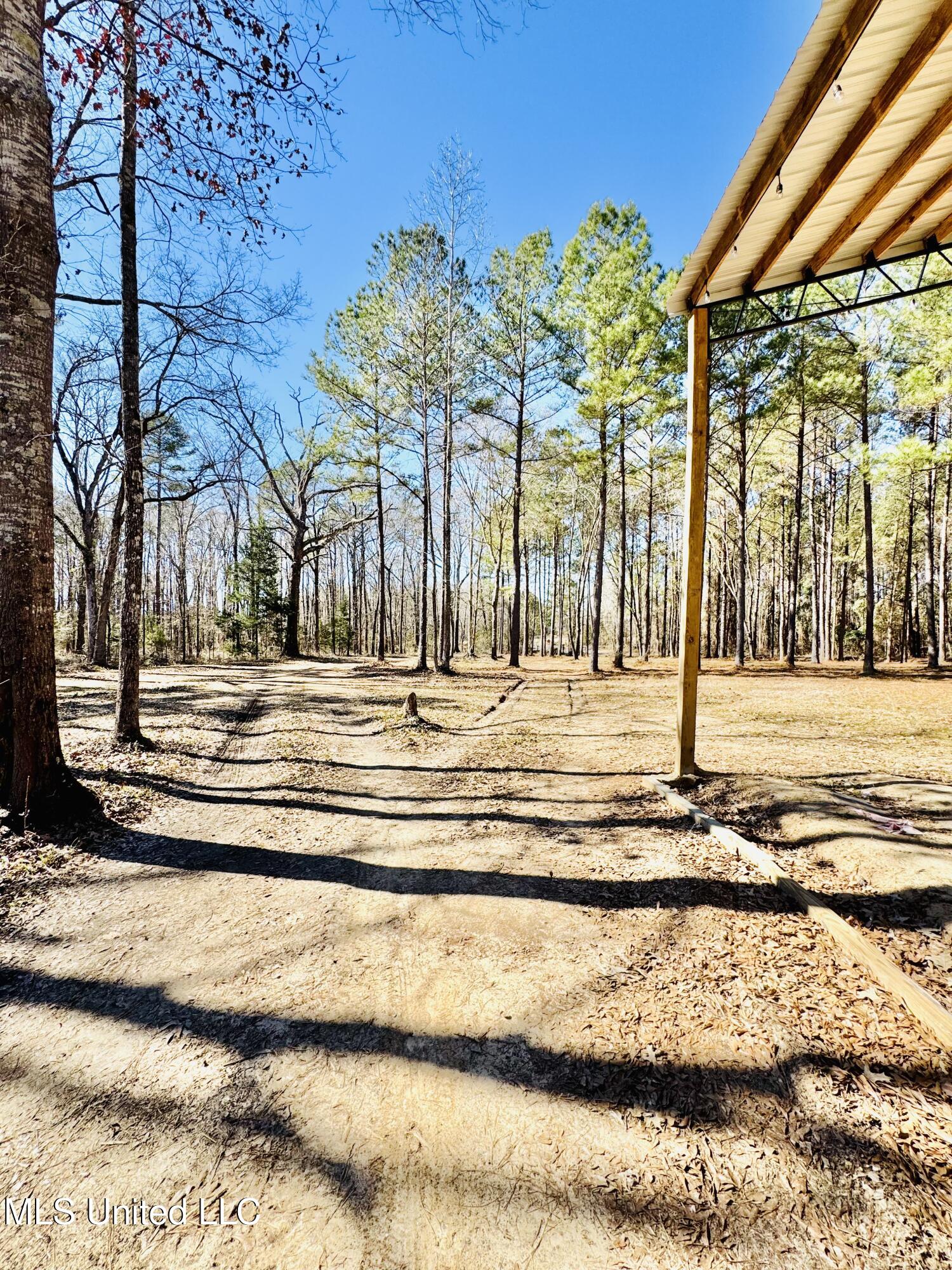 104 Mamie Mangum Road Florence, MS 39073 - Photo 4 of 11 IMG_8502