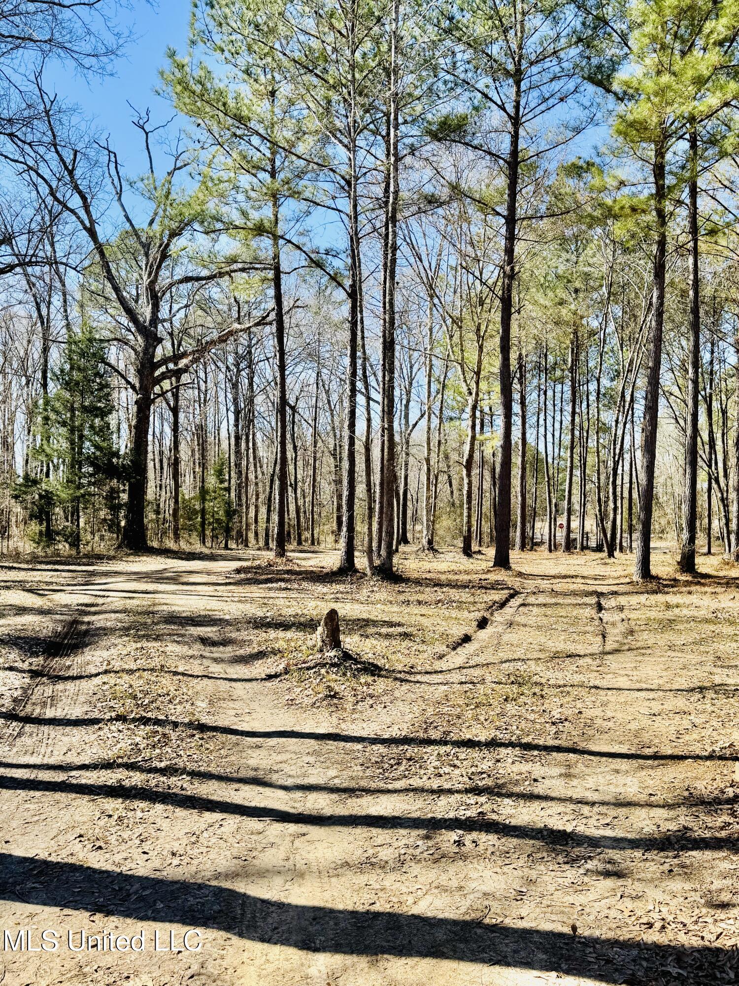 104 Mamie Mangum Road Florence, MS 39073 - Photo 5 of 11 IMG_8501