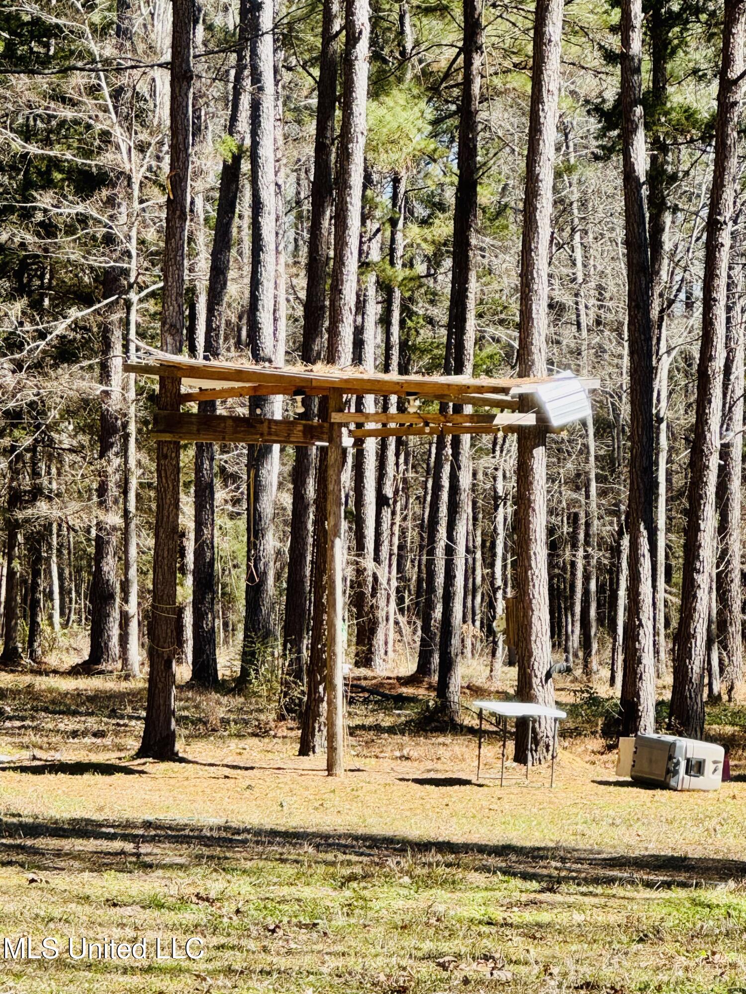 104 Mamie Mangum Road Florence, MS 39073 - Photo 6 of 11 IMG_8499