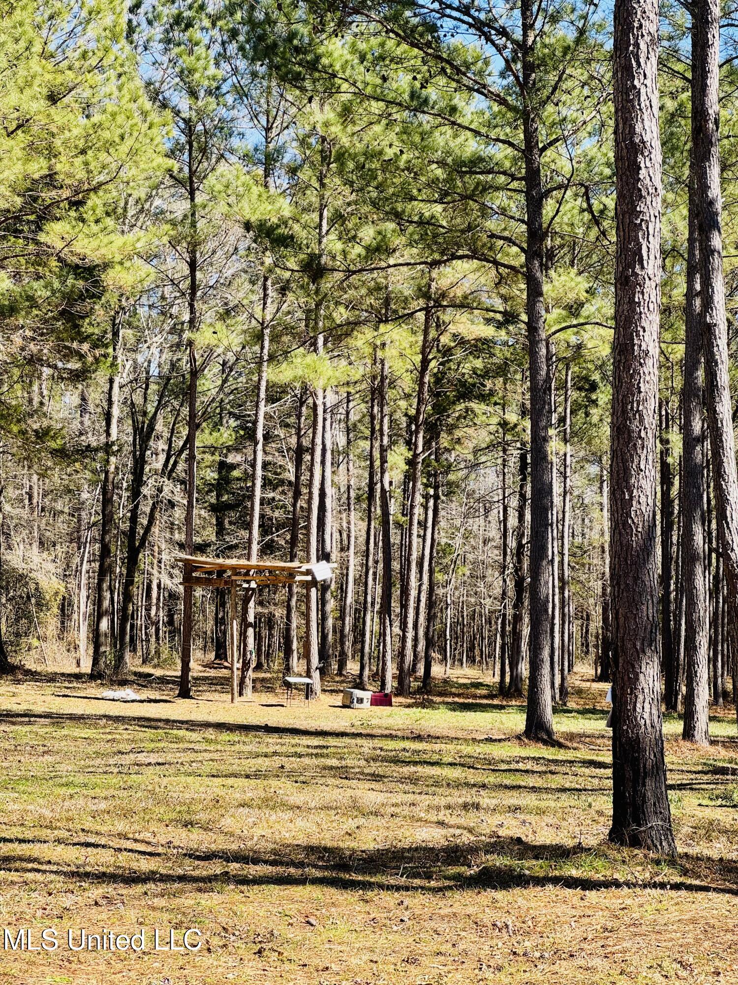 104 Mamie Mangum Road Florence, MS 39073 - Photo 8 of 11 IMG_8498